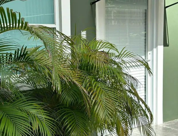 Casa Condado Hotel & Residences hotel detail image 2