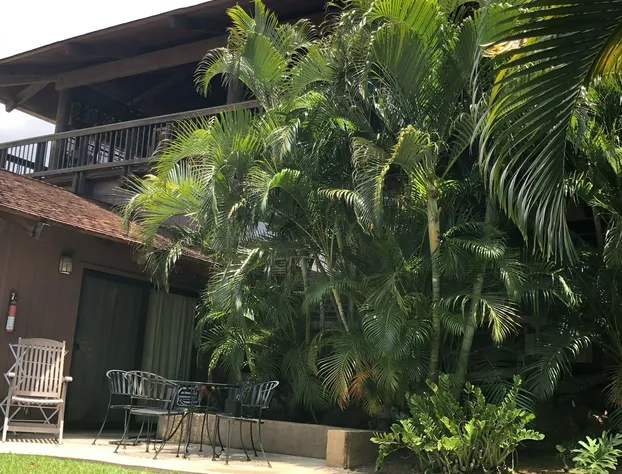 Maui What A Wonderful World B and B Hawaii hotel detail image 1