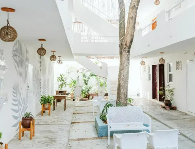 Ahava Hotel hotel detail image 2