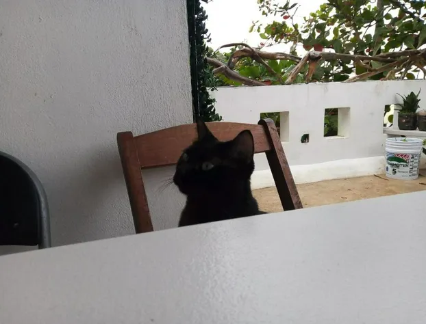 The Green Village Boutique Hotel hotel detail image 2