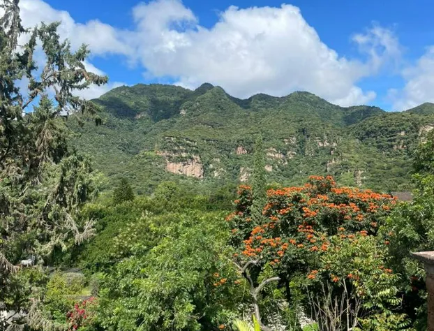 Casa D Lobo Hotel Boutique hotel detail image 3