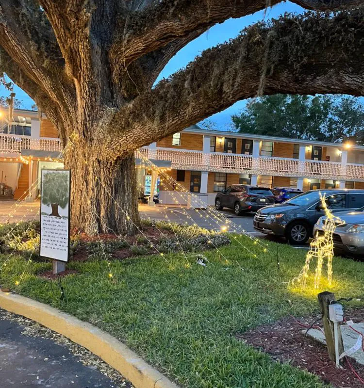 Castillo Inn hotel hero