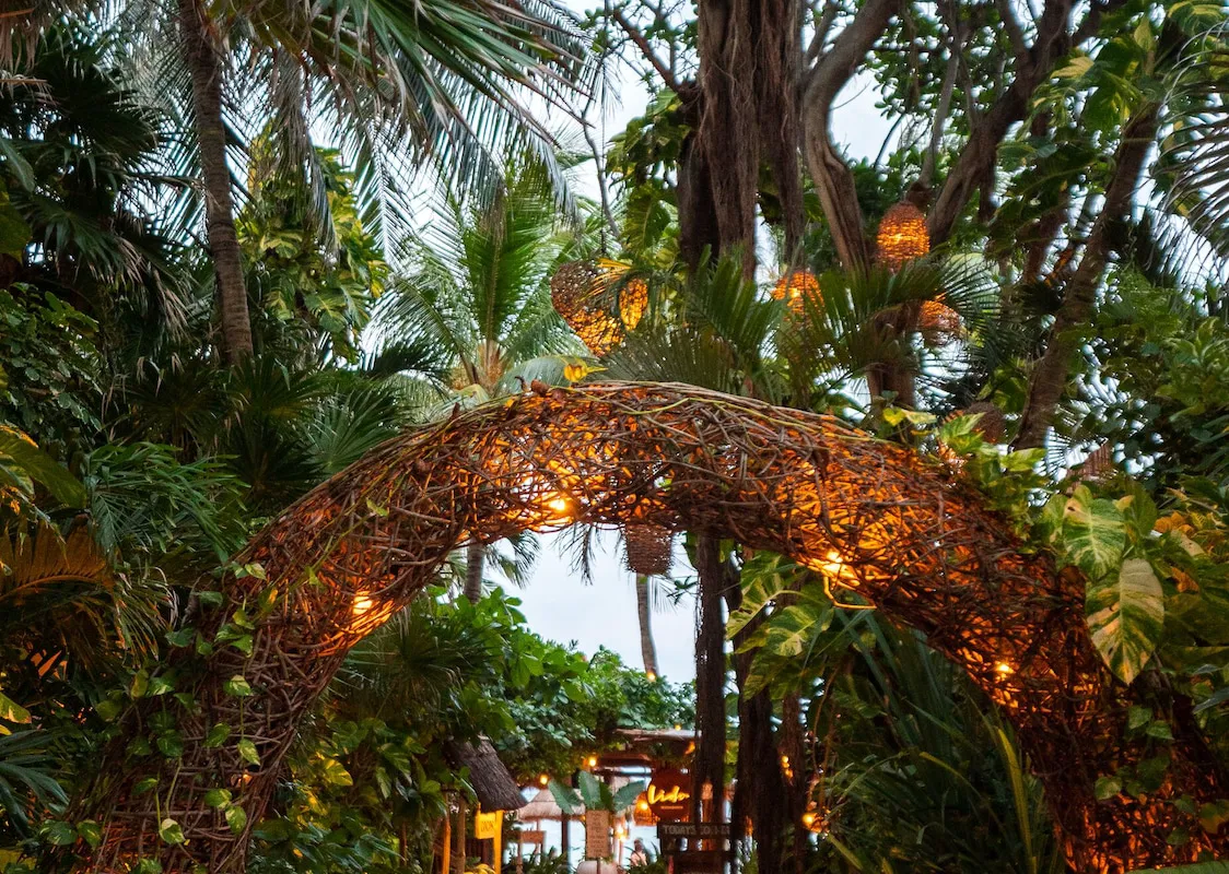 Hotel Colibri Beach hotel hero