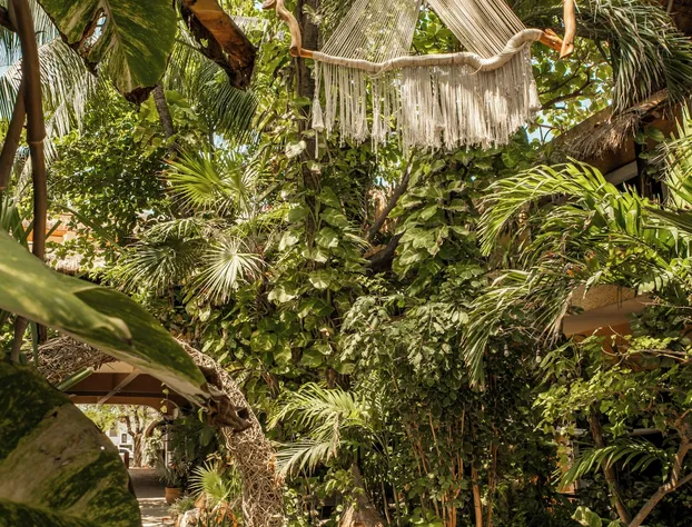 Hotel Colibri Beach hotel detail image 2