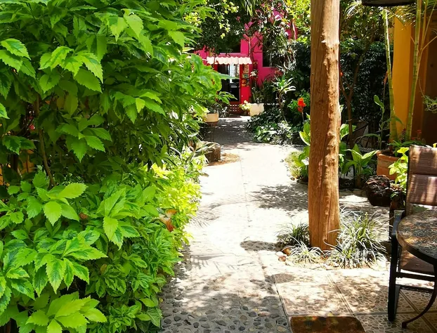 Hotel Rosa Morada hotel detail image 2