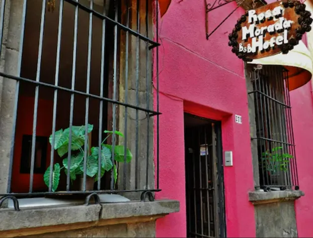 Hotel Rosa Morada hotel detail image 4