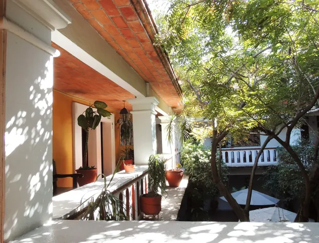 Parador Del Dominico hotel detail image 3