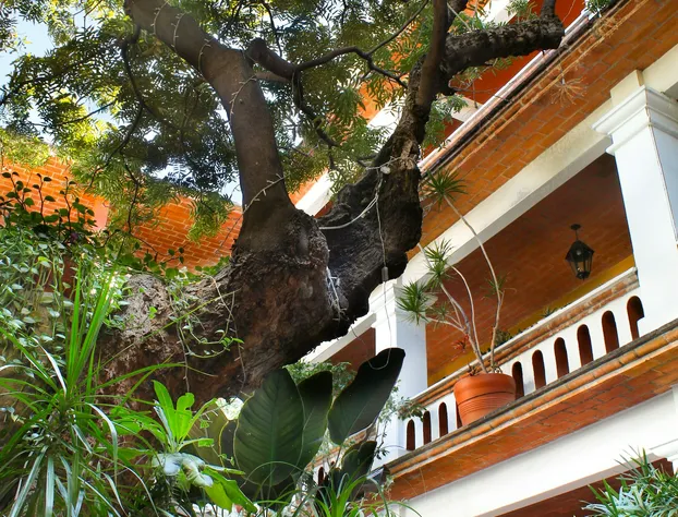 Parador Del Dominico hotel detail image 4