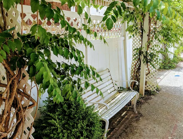 Chelsea Pub & Inn hotel detail image 2