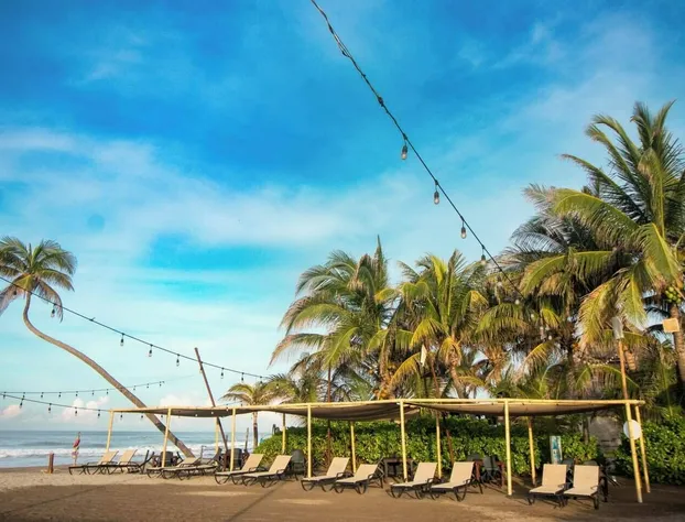 Mishol Bodas Hotel & Beach Club Acapulco Diamante hotel detail image 4