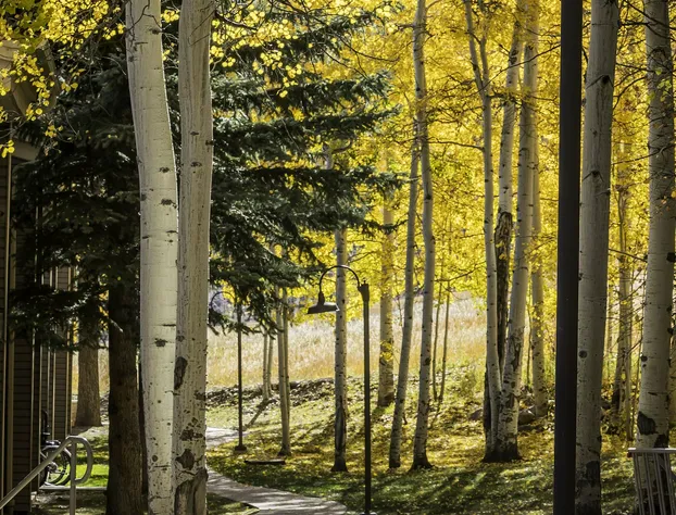 The Timberline Condominiums hotel detail image 1