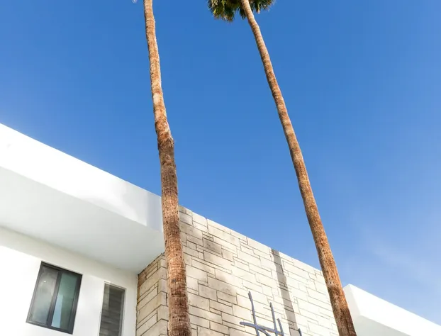 Holiday House Palm Springs hotel detail image 2