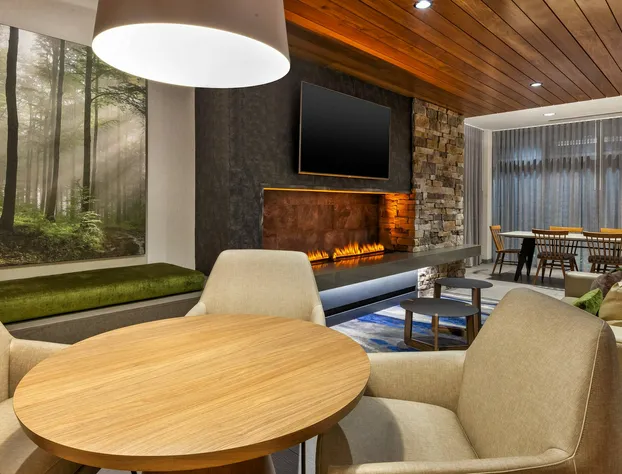 Fairfield by Marriott Inn & Suites Knoxville Airport Alcoa hotel detail image 4