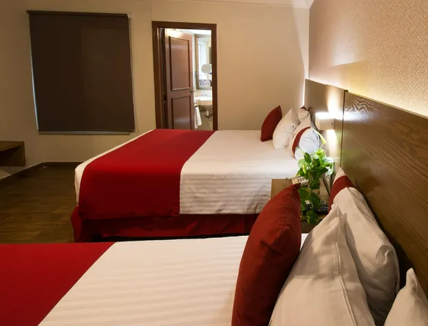 Del Marqués Hotel and Suites hotel detail image 3