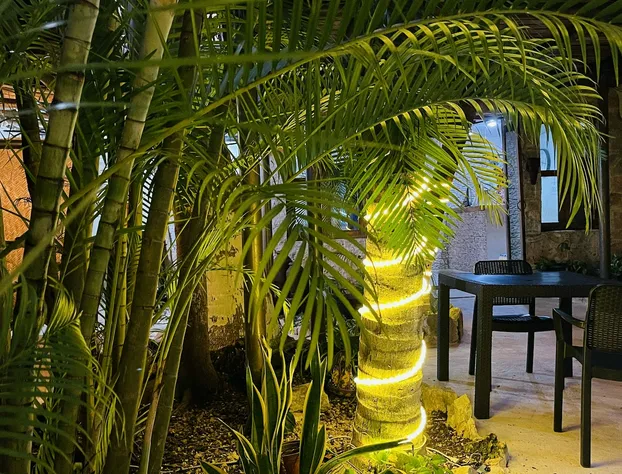 Hotel B&B - 5th Avenue hotel detail image 4