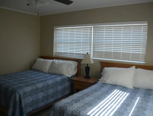 The New Hotel Indian Shores hotel detail image 3