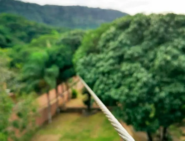 Hotel Cotlamani hotel detail image 3