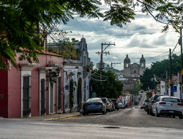 Casa de las Flores Hotel hotel detail image 2