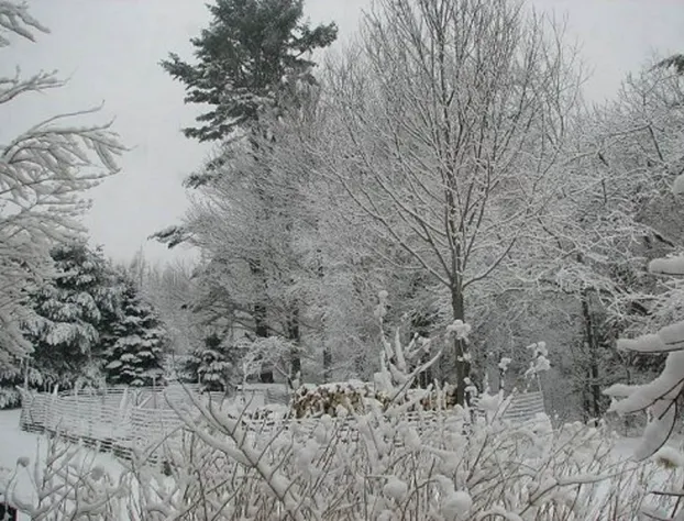 The Homestead Motel hotel detail image 2