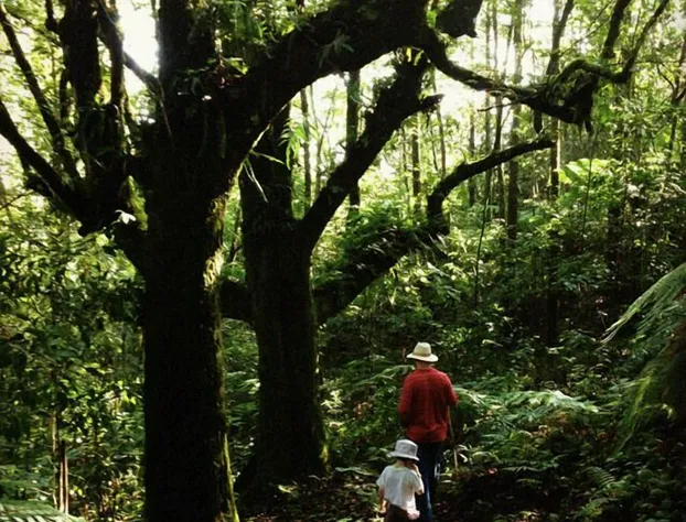 Hotel Villas Cuetzalan hotel detail image 4