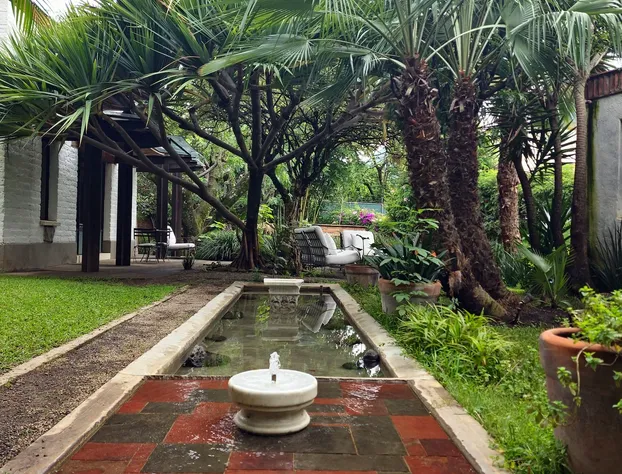 Casa Limon hotel detail image 3