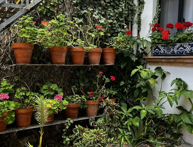 Hotel Casa Carmen hotel detail image 1