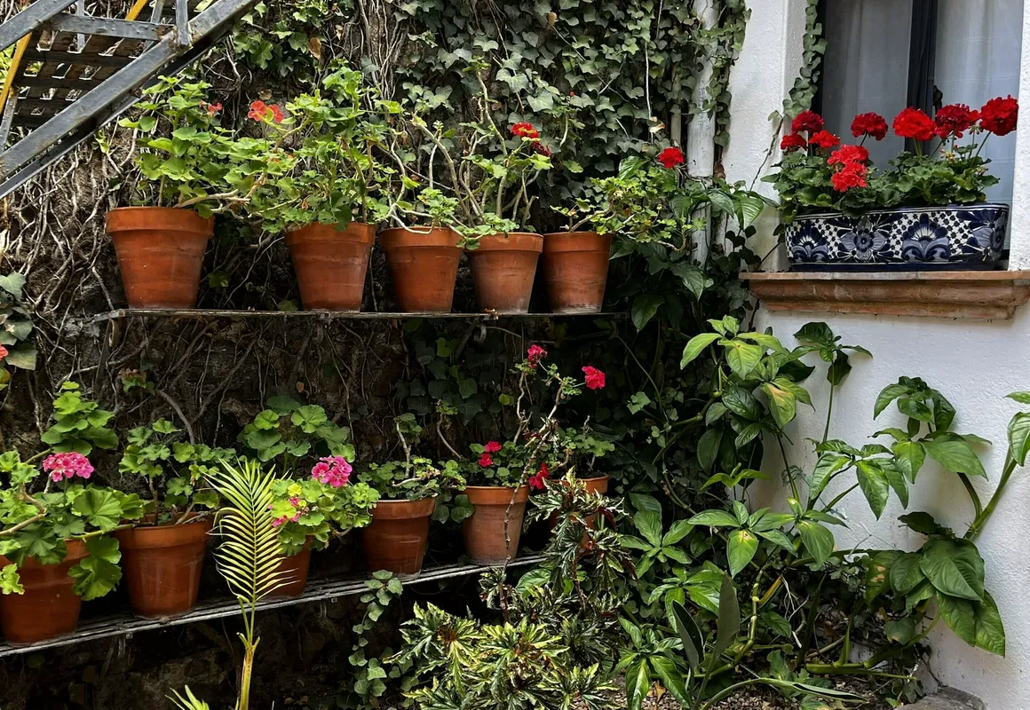 Hotel Casa Carmen hotel hero