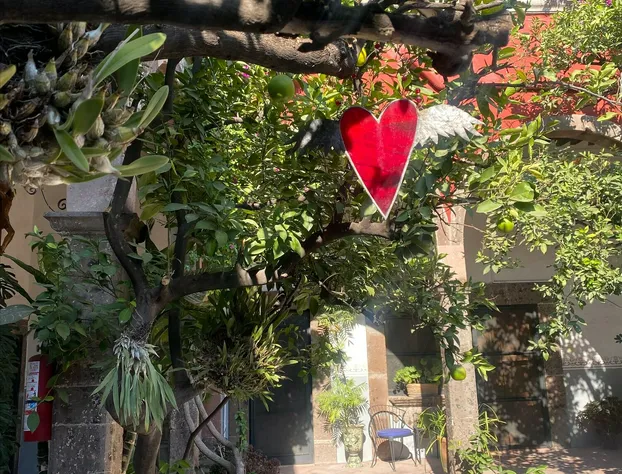 Hotel Casa Carmen hotel detail image 3