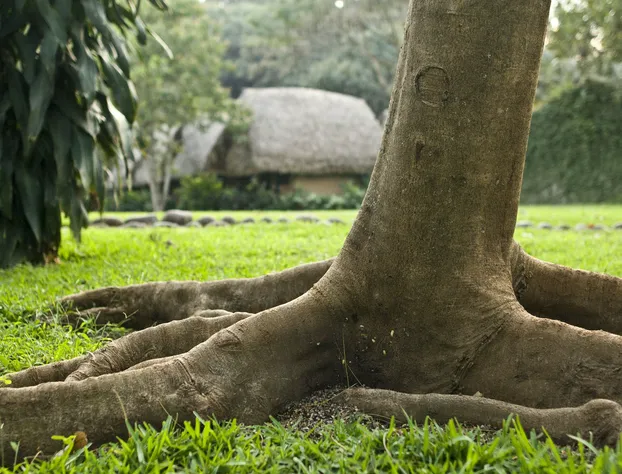 Picocanoa Rodavento hotel detail image 4