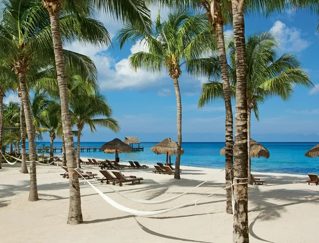 Secrets Aura Cozumel - Adults Only - All Inclusive hotel detail image 1