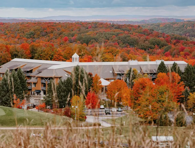 The Lodge at Cedar River, Shanty Creek Resort hotel detail image 3