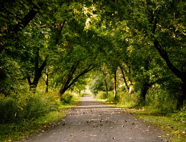 Hôtels Gouverneur Montréal - Île Charron hotel detail image 2