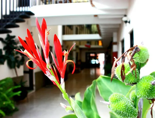 Hotel Casa Blanca Tequisquiapan hotel detail image 3