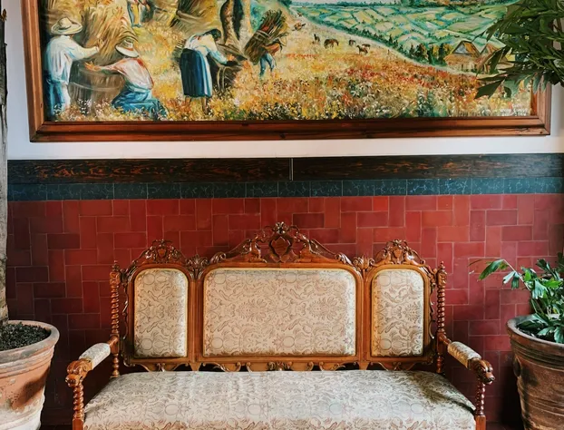 Hotel Mi Solar hotel detail image 2