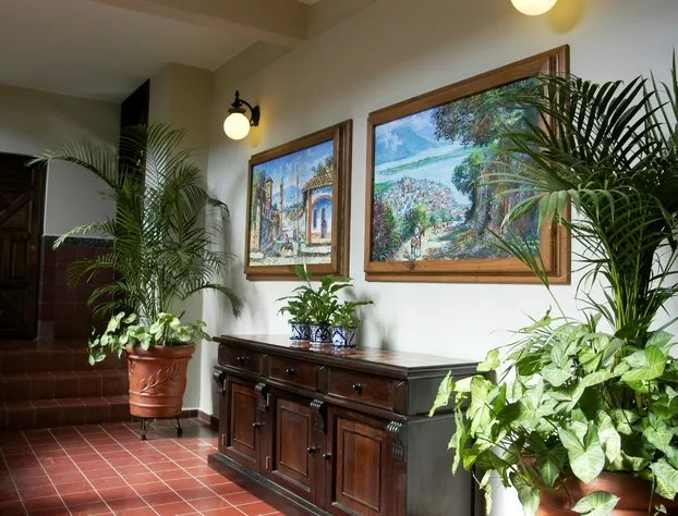 Hotel Mi Solar hotel detail image 3