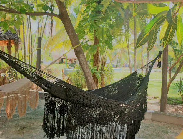 WishTulum hotel detail image 2