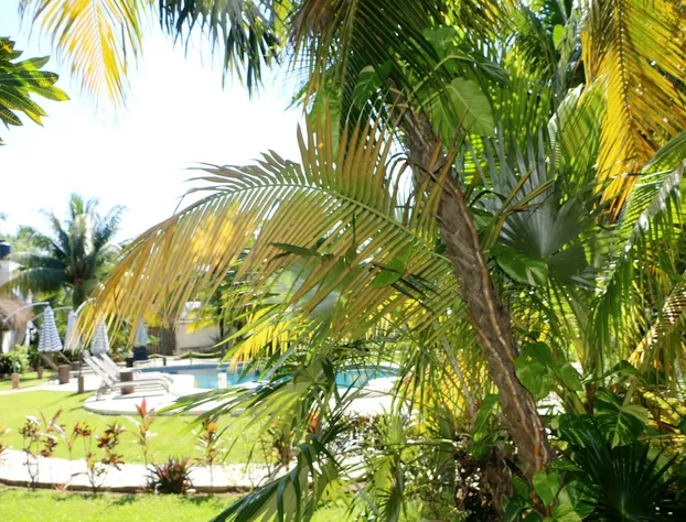 WishTulum hotel detail image 4