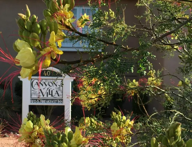 Canyon Villa Bed & Breakfast Inn of Sedona hotel detail image 3