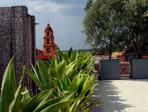 Hotel Casa Blanca 7 hotel detail image 3