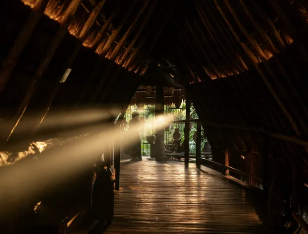 Radhoo Tulum hotel detail image 3