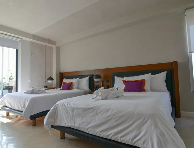 Mex Hoteles hotel detail image 4