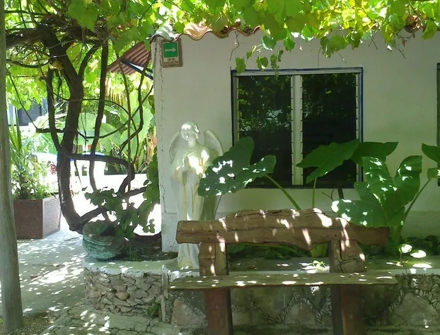 Posada Amor Hotel Boutique hotel detail image 1