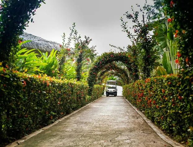 Hotel Villa Mercedes Palenque hotel detail image 4