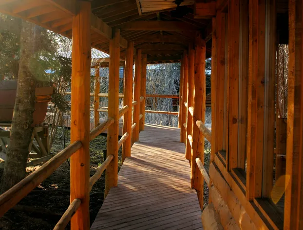 Bear Paw Adventure hotel detail image 2