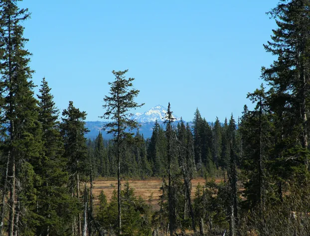 Bear Paw Adventure hotel detail image 4