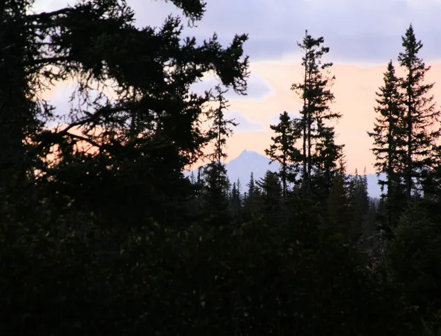 Bear Paw Adventure hotel detail image 2