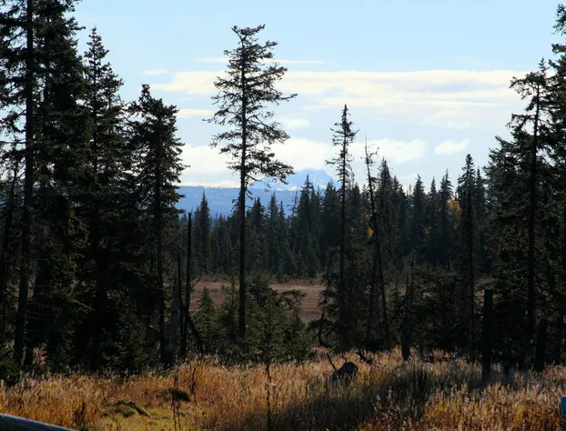 Bear Paw Adventure hotel detail image 4