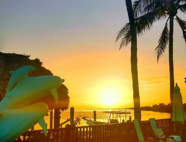 Conch Key Fishing Lodge and Marina hotel detail image 2