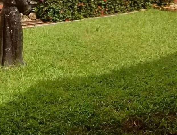 Madero Suites hotel detail image 2