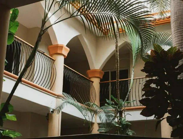 Sahara Hotel hotel detail image 3